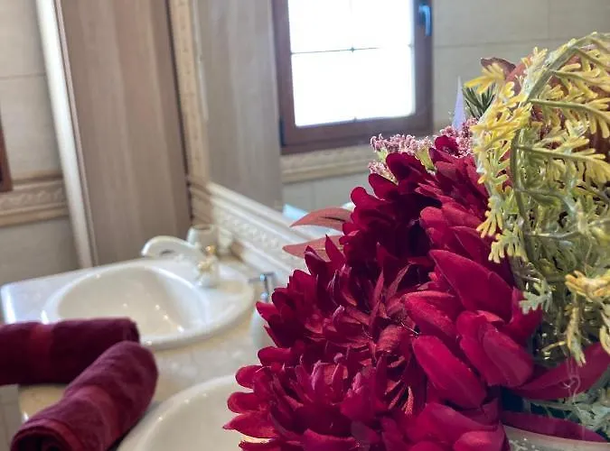 Ingrid. Piscina Exterior. Las Playas