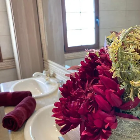 Ingrid. Piscina Exterior. Λας Πλάγιας